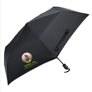 Umbrella
